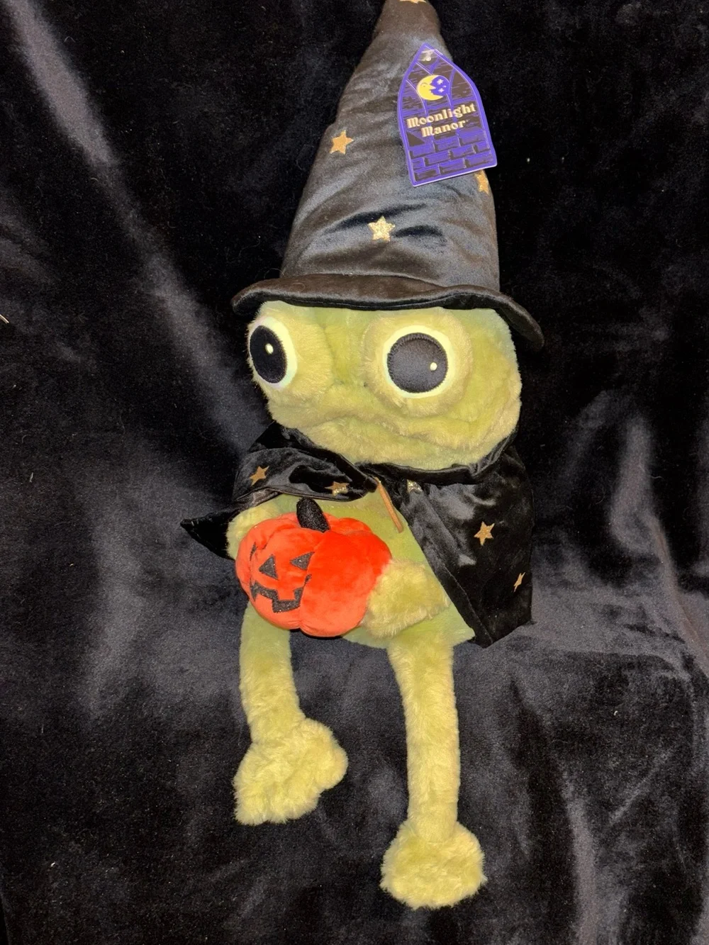 Moonlight Manor Halloween Wizard Frog Plush Pumpkin Weighted Decor NEW